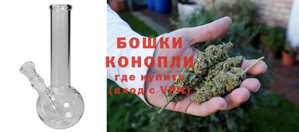 дживик Гусь-Хрустальный