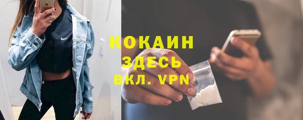 дживик Гусь-Хрустальный