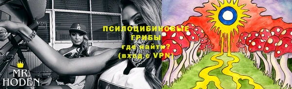 COCAINE Гусиноозёрск