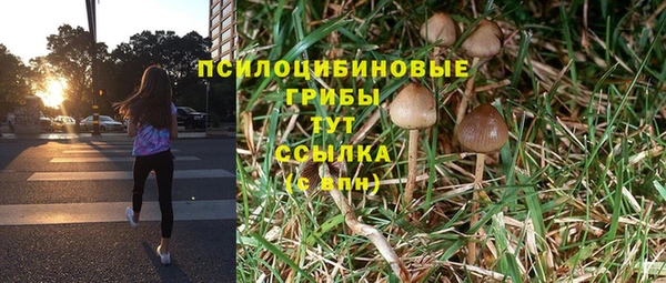 COCAINE Гусиноозёрск