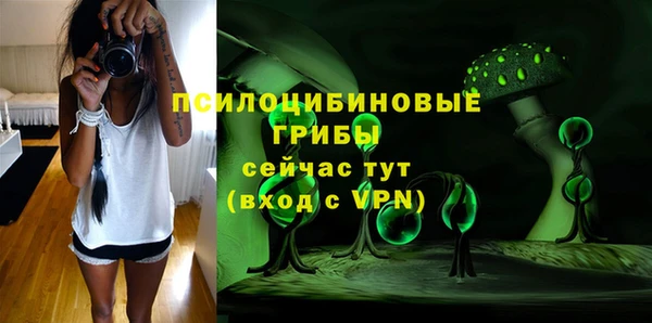 дживик Гусь-Хрустальный